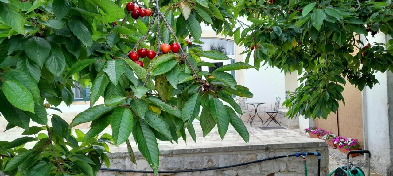 Appartement Locazione Turistica San Giorgio à Putignano Extérieur photo